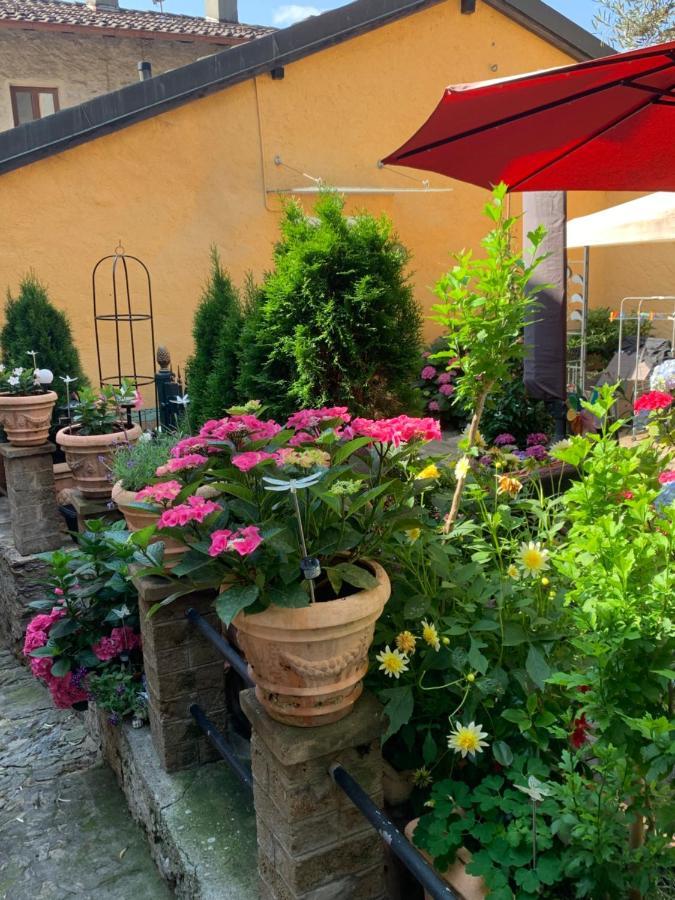 Ferienwohnung Rustico auf Burg Locarno Exterior foto